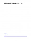 PRINCIPIOS DEL DERECHO PENAL