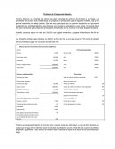 Problema de Presupuesto Maestro