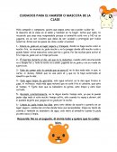 Cuidados para el hamster o mascota de la clase