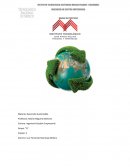 ¿A qué se dedica la ONG?