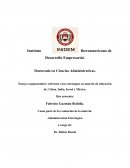 Ensayo sobre las estrategias en materia de educación de: China, India, Israel y México