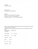 PRACTICA Nº 2 ELABORACIÓN DE EMBUTIDOS