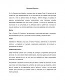 Plan estrategico Nuevo Producto