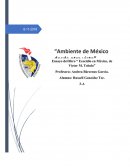 Ambiente de México desde otra vista