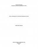 FORO: LA DISTRIBUCION Y LA ESTRATEGIA EMPRESARIAL EN VENTAL