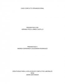 CASO CONFLICTO ORGANIZACIONAL. Página 1