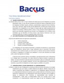 CULTURA ORGANIZACIONAL La empresa Backus