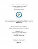 ANÁLISIS DE LAS DECISIONES RENDIDAS EN OCASIÓN A LAS DEMANDAS EN NULIDAD DE EMBARGO INMOBILIARIO