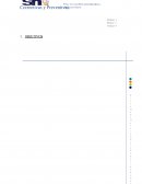 Correctivas y Preventivas