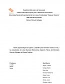 Huerto agroecológico para fomentar valores en los estudiantes