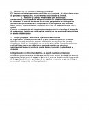 ¿Explique en qué consiste el liderazgo individual?