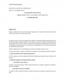 ANALISIS ORGANIZACIONAL. ESTRUCTURA LINEAL