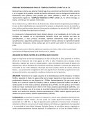 PROBLABLE RESPONSABILIDAD PENAL DE “COMPLEJO TURISTICO EL FARO” S.A de C.V.