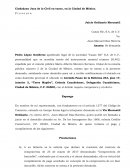 Juicio Ordinario Mercantil Casas Hir, S.A. de C.V.