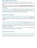 Aguas Subterráneas O Freáticas