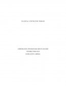 TALLER No 1 CONTRATO DE TRABAJO