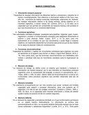 MARCO CONCEPTUAL los procesos atencionales