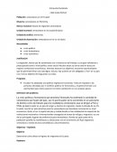 FASE CUALITATIVA Venezolanos