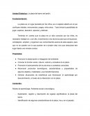 Unidad Didáctica: La plaza del barrio del jardín