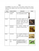 FLORA Y FAUNA