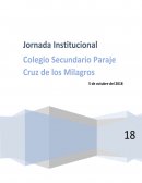 Valores y derechos en la escuela, proyecto