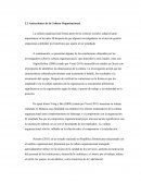 Antecedentes de la Cultura Organizacional