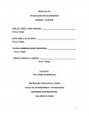 PRÁCTICA N°2 TECNOLOGÍAS DE OLEAGINOSAS