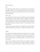 Proceso de fabricación