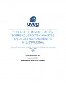 REPORTE DE INVESTIGACIÓN SOBRE ACUERDOS Y AVANCES EN LA GESTIÓN AMBIENTAL INTERNACIONAL