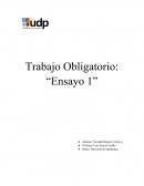 ¿Cómo son y qué deben hacer los estrategas para que sus organizaciones sean exitosas?