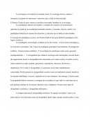 Foro - La Cultura y socialización