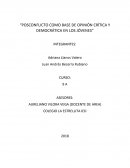 “POSCONFLICTO COMO BASE DE OPINIÓN CRÍTICA Y DEMOCRÁTICA EN LOS JÓVENES”