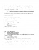 IRRIGACION Y SU IMPORTANCIA