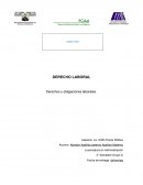 Derechos y obligaciones de trabajadores y patrones