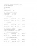 CÁLCULO DE LA MATERIALIDAD INICIAL Y FINAL