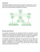Organigrama.Manuales administrativos