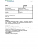 EVIDENCIA 1 Dirección y estilos de liderazgo