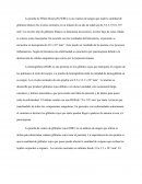La prueba de White blood cell (WBC)
