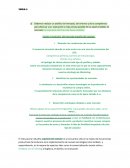 TAREA POLÍTICAS DE MARKETING