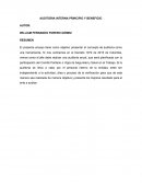 AUDITORIA INTERNA PRINCIPIO Y BENEFICIO