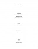 Reflexión sobre el liderazgo