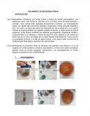 Aislamiento de enterobacterias