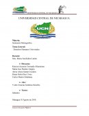 Violacion De Los Derechos Humanos A Personas Naturales O Jurídicas En Nicaragua
