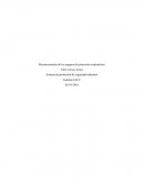 Reconocimiento de los equipos de protección respiratorios