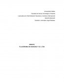 FLUJOGRAMA DE SOCIEDAD Y CO. LTDA