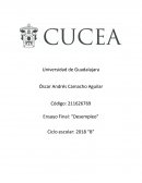 Ensayo Final: “Desempleo”