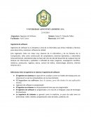 Definicion Ing. Software