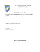 Enseñanza Veterinaria de Rehabilitación para Animales Domésticos (EVRAD)