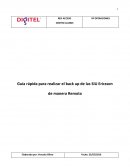 Configuracion de SIU remoto