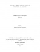 Actividad 2 Introducción a la Agronomia